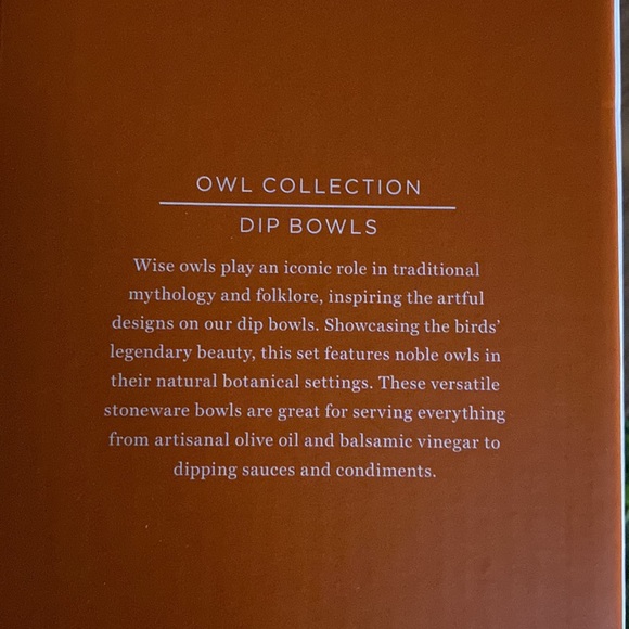 Williams Sonoma Vividly Colored Set of Four Owl Dipping Bowls 🦉 - Picture 15 of 17